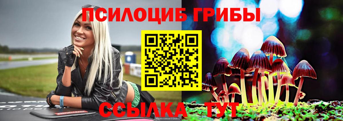 Чапаевск  Галлюциногенные грибы Psilocybine cubensis  Псилоцибиновые грибы прущие грибы  Вход с VPN 